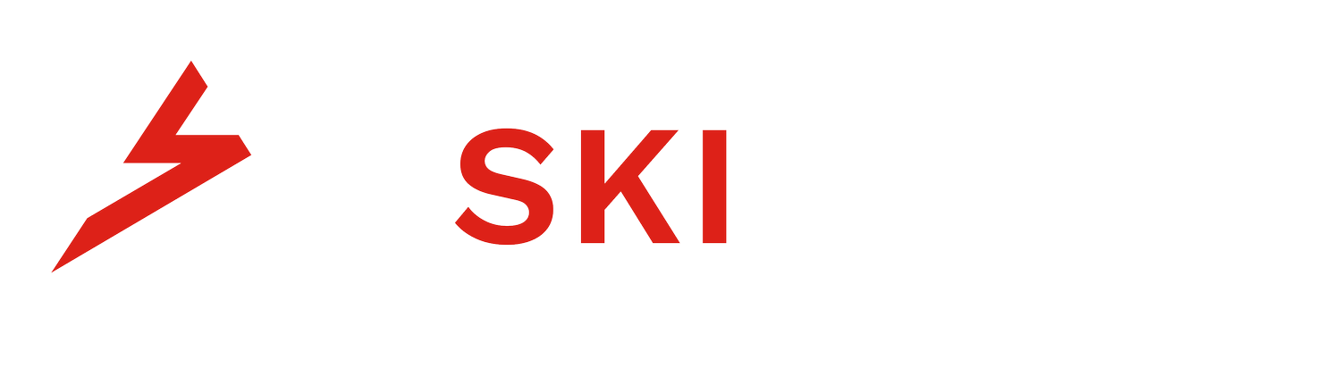 Logo: Skivenue